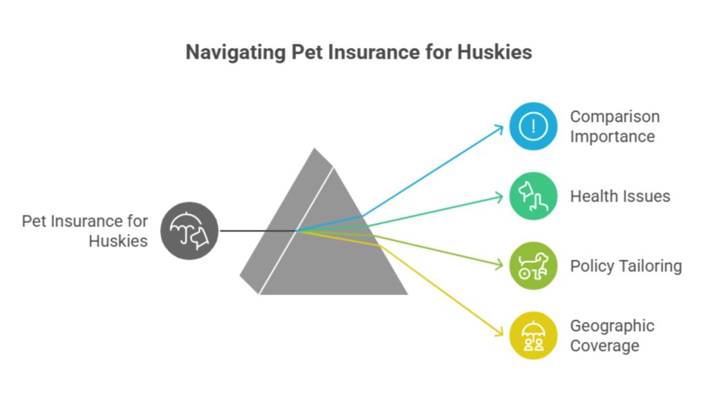 Pet Insurance for Husky