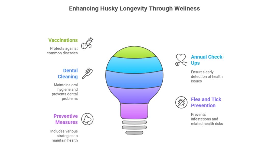 Pet Insurance for Husky