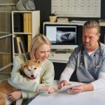 Pet Insurance for Husky