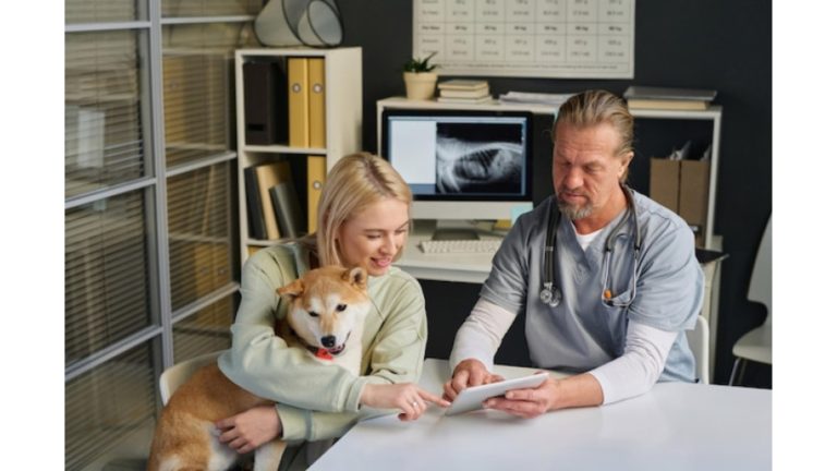 Pet Insurance for Husky